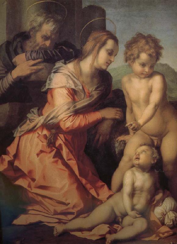 Andrea del Sarto Holy Family oil painting picture